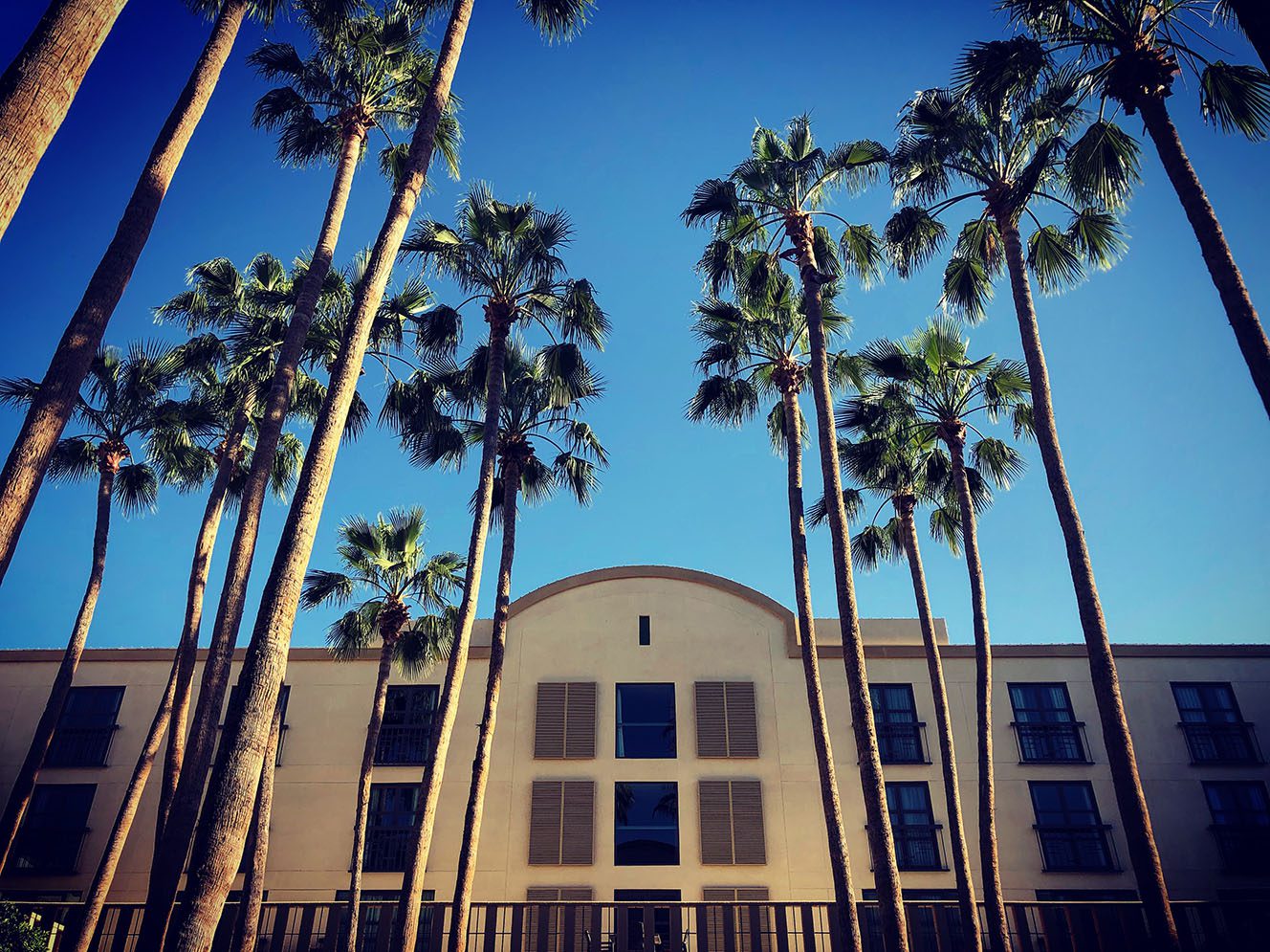 A building with many palm trees in front of it.